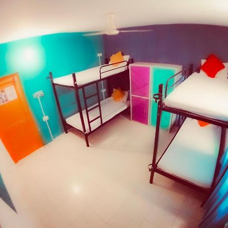 The Hostel Crawl Udaipur Eksteriør bilde