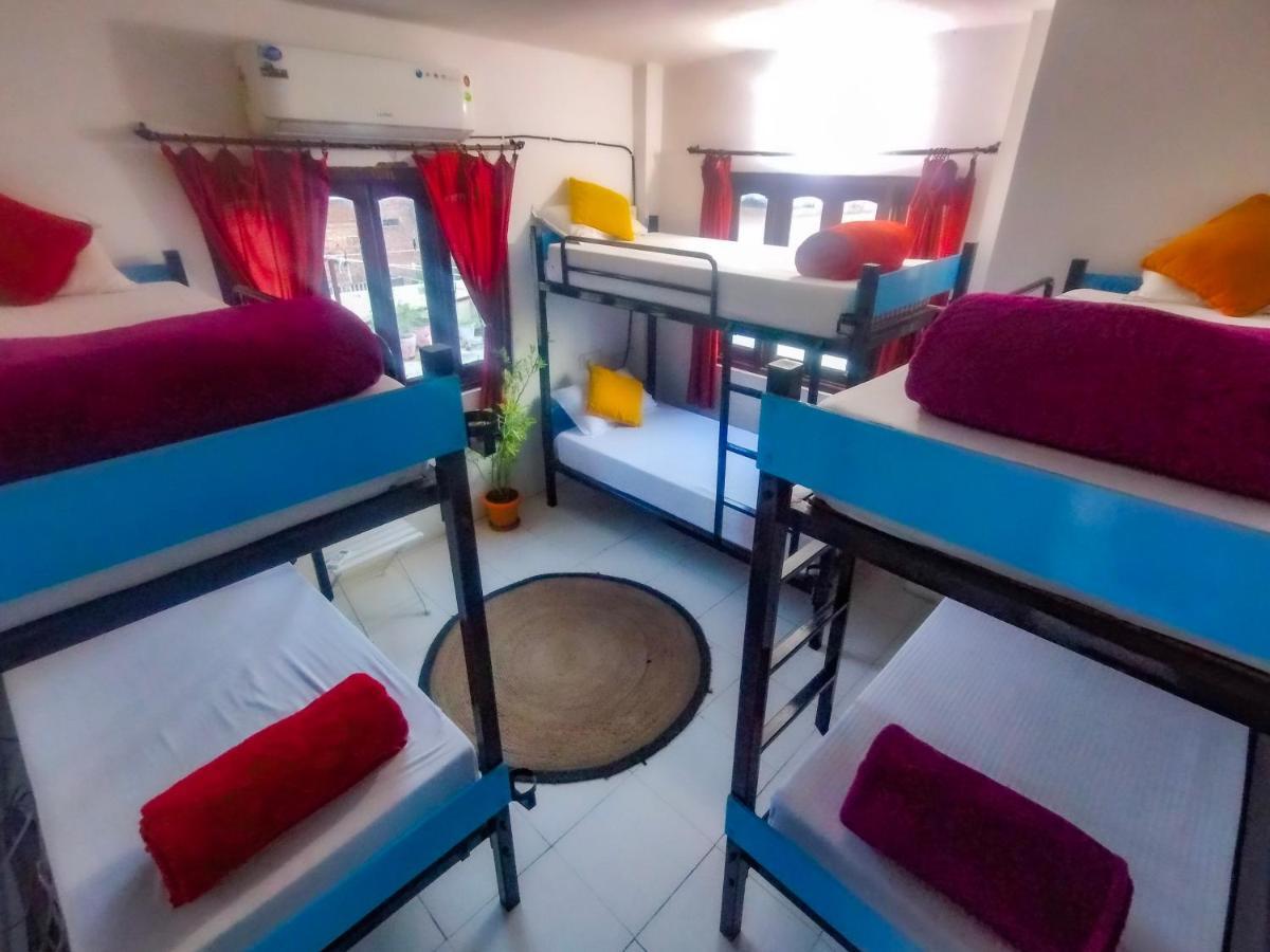 The Hostel Crawl Udaipur Eksteriør bilde