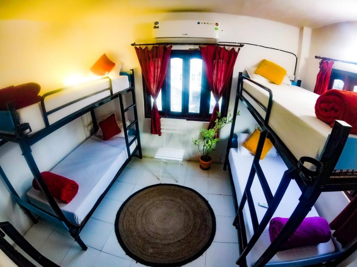 The Hostel Crawl Udaipur Eksteriør bilde